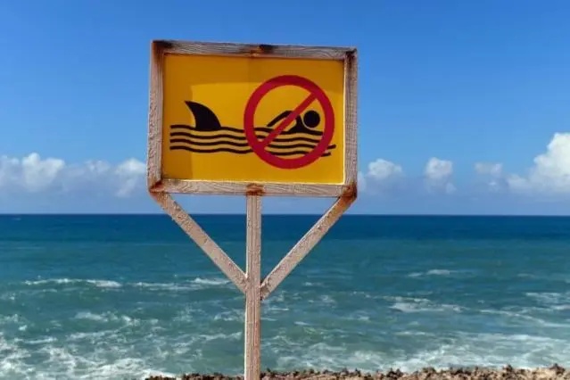 突发!他遭鲨鱼袭击,不幸身亡!曾出演《加勒比海盗》 突发!他遭鲨鱼袭击,不幸身亡!曾出演《加勒比海盗》