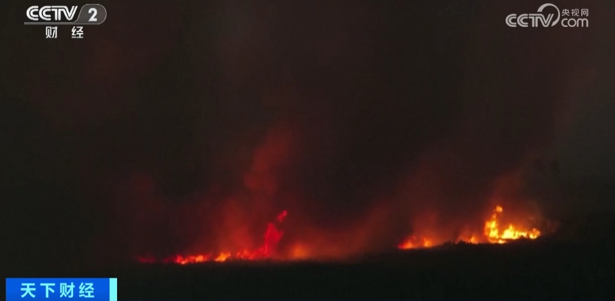 进入紧急状态！全球最大湿地遭遇连续火灾