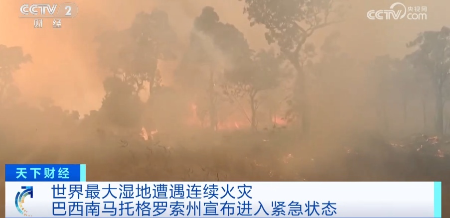 进入紧急状态！全球最大湿地遭遇连续火灾