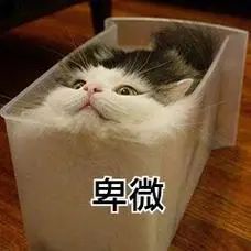 杭州姑娘：“偶像剧里的恋爱情节被我碰到了，怎么办？”