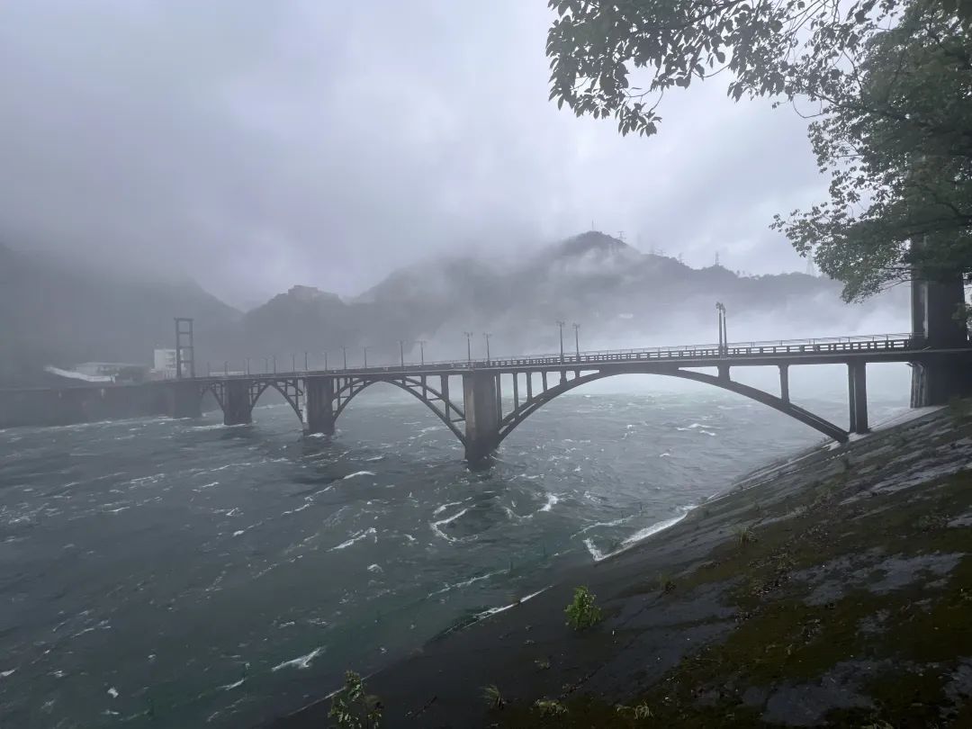 上海最强暴雨马上上线！这几区特别注意→隔壁浙江145条生效预警！