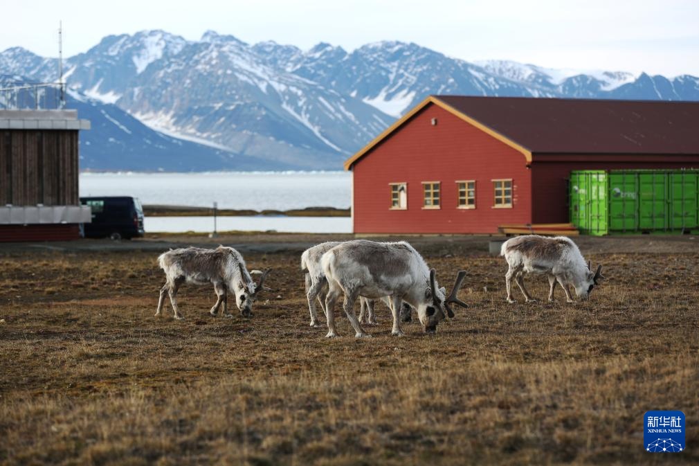 极昼下的地球最北小镇 极昼下的地球最北小镇