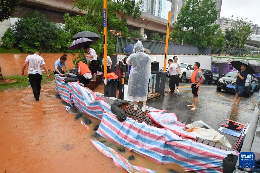 面对暴雨洪水，该如何科学自救？这份指南请查收！