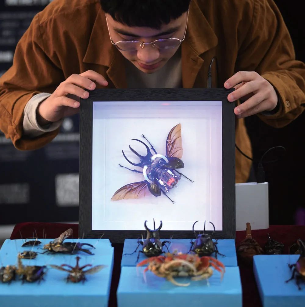 “虫子机器人”来了 “虫子机器人”来了