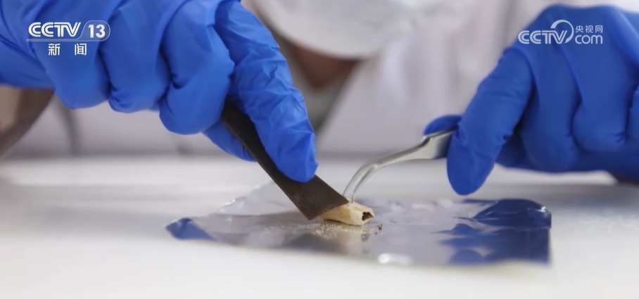 考古学专业火了！学什么，怎么学？来看记者探访