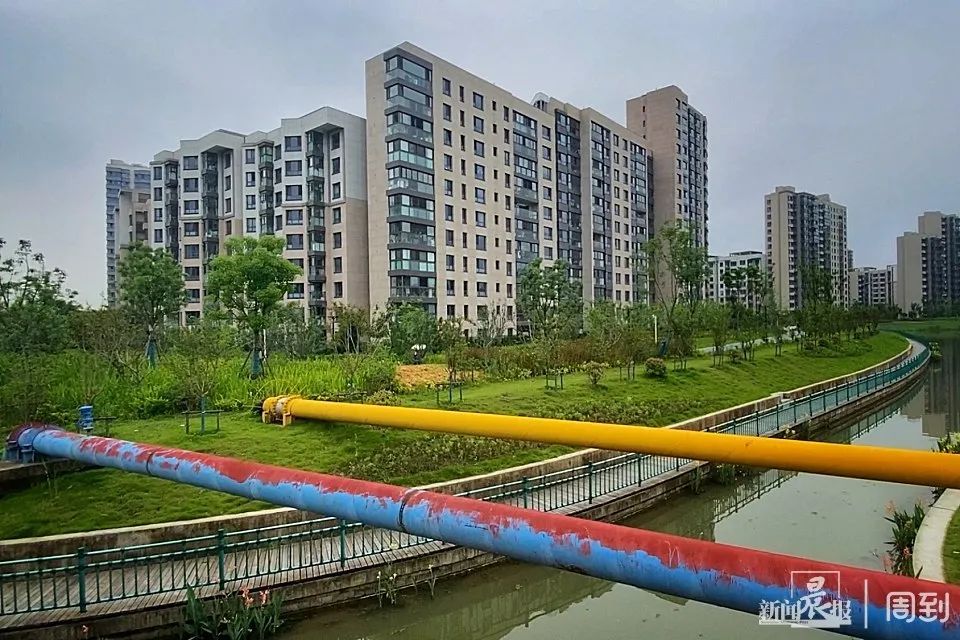 小区近道尚未贯通,每次出行多绕行近200米,老人直呼“吃不消“ 小区近道尚未贯通,每次出行多绕行近200米,老人直呼“吃不消“