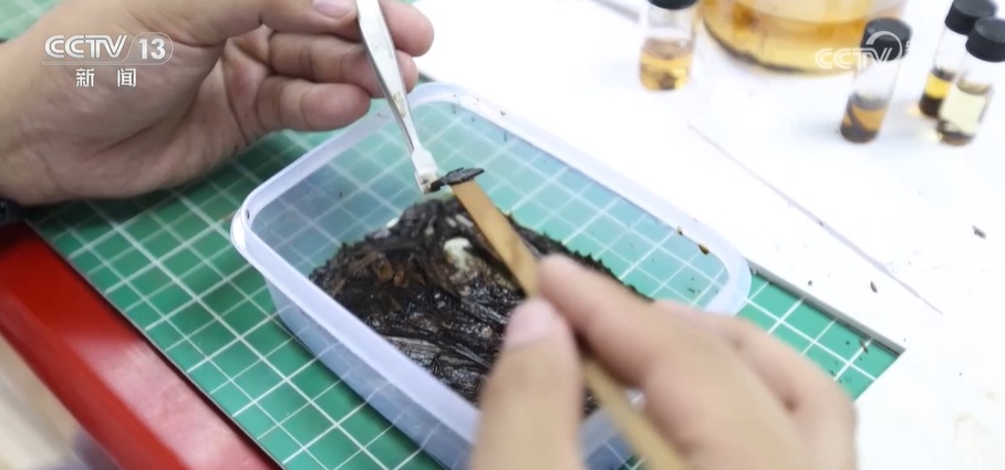 考古学专业火了！学什么，怎么学？来看记者探访