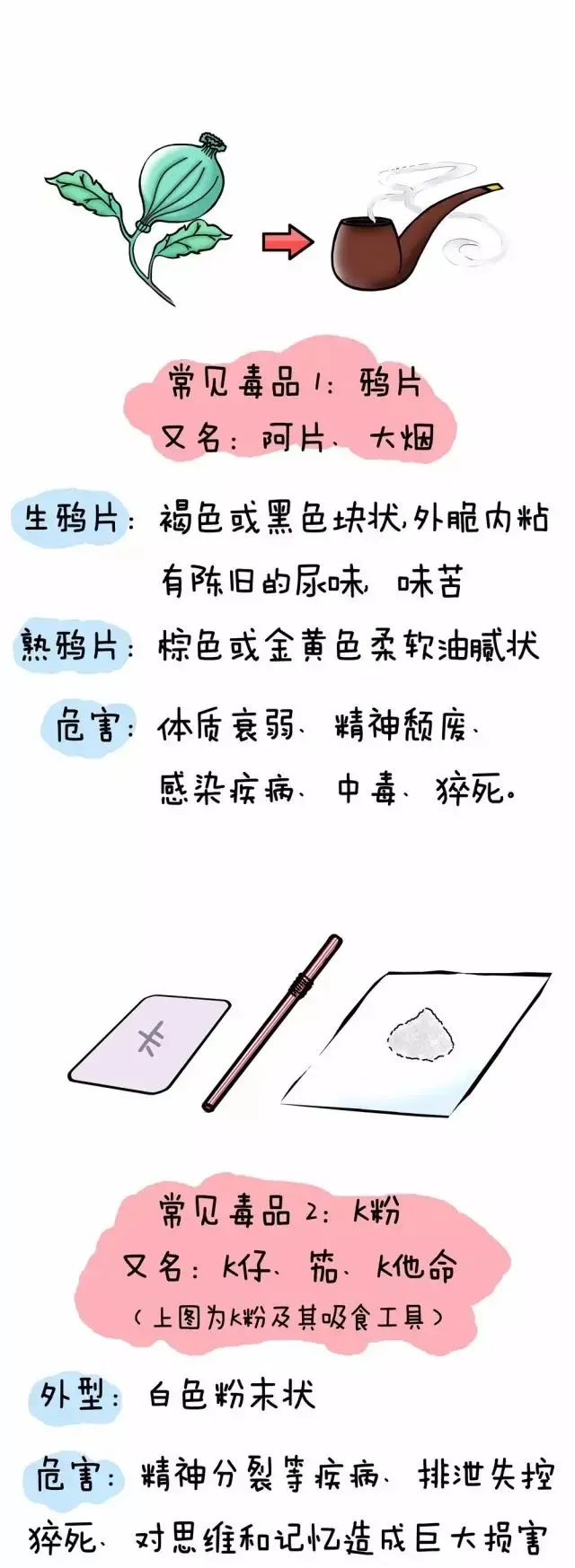 国际禁毒日 | 关于禁毒知识你了解多少? 国际禁毒日 | 关于禁毒知识你了解多少?