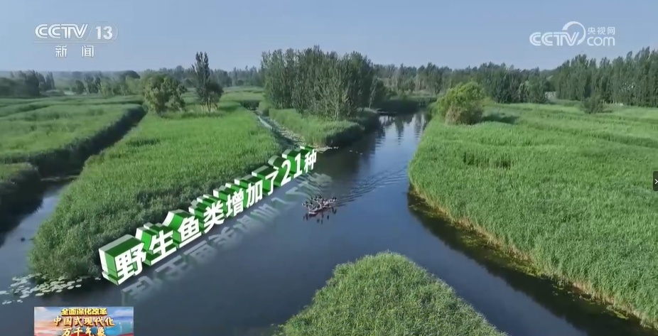 中国式现代化万千气象 雄安新区:“未来之城”活力涌动 中国式现代化万千气象 雄安新区:“未来之城”活力涌动