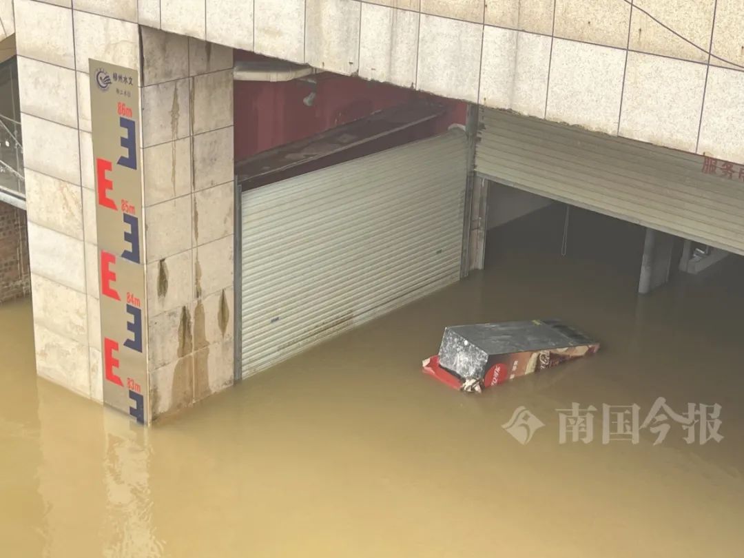 柳江今年“第2号洪水”生成！柳州市区这些地方受影响→