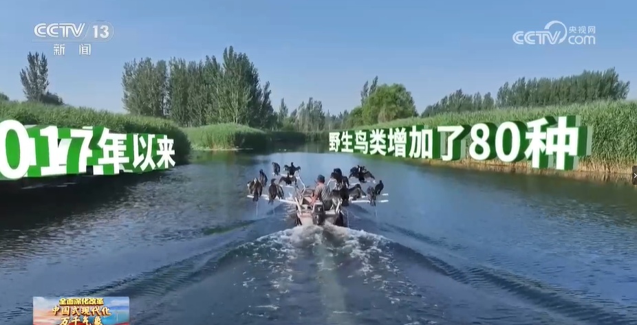 中国式现代化万千气象 雄安新区:“未来之城”活力涌动 中国式现代化万千气象 雄安新区:“未来之城”活力涌动