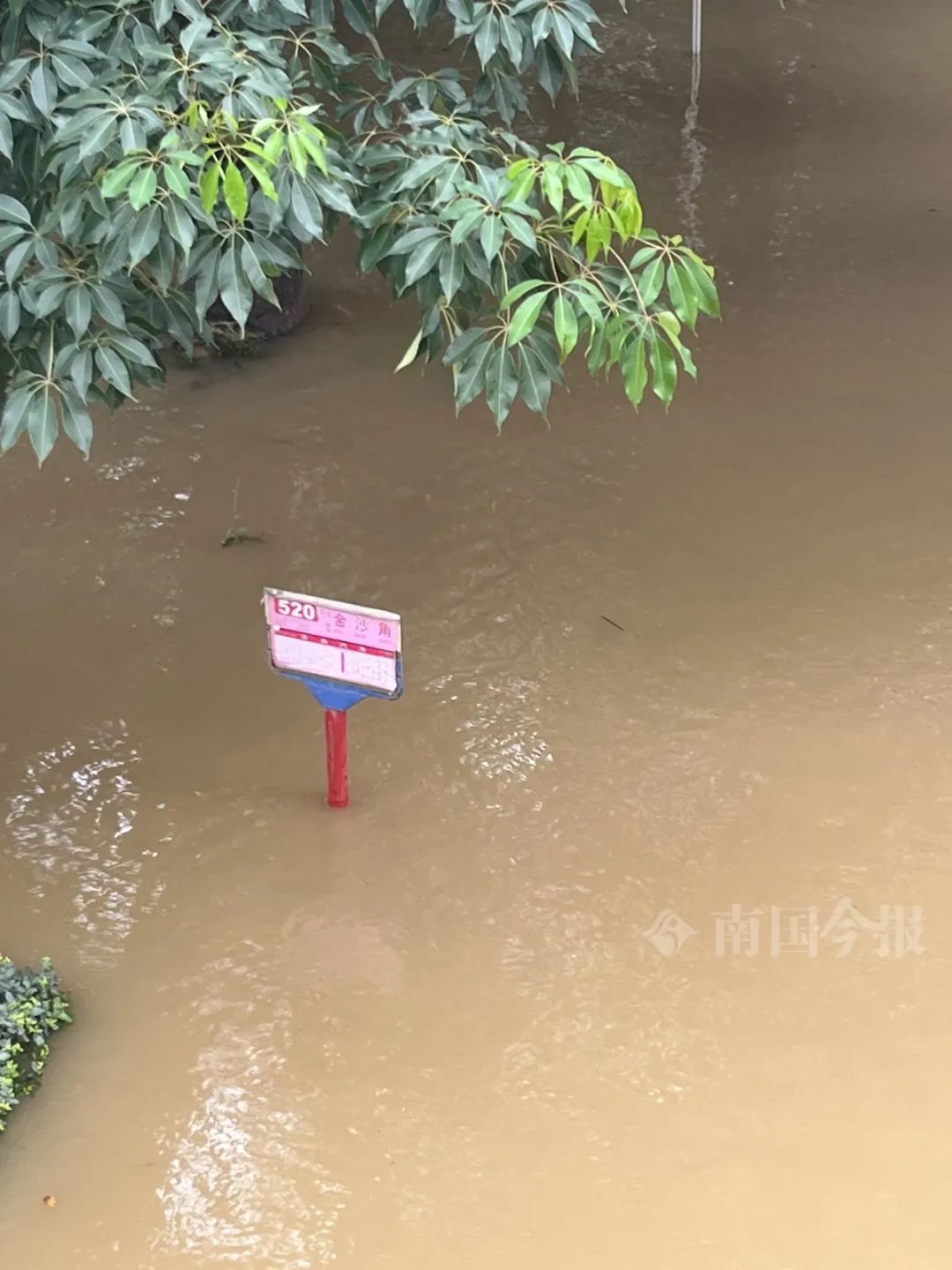 柳江今年“第2号洪水”生成！柳州市区这些地方受影响→
