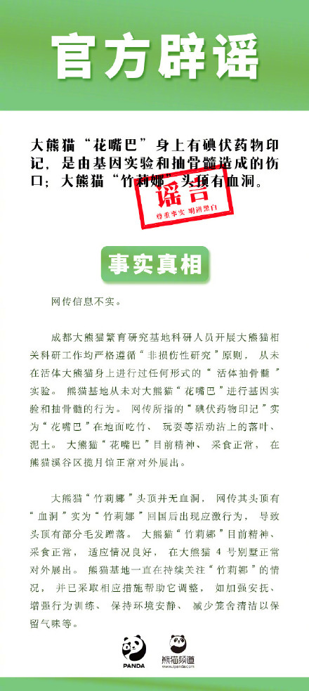 假的！大熊猫花嘴巴被抽骨髓纯属谣言