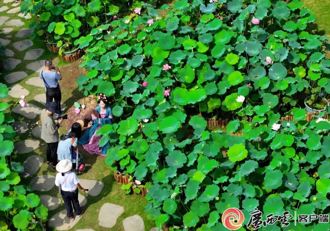 一票游四城!9折优惠!广西首款铁路旅游计次票开售! 一票游四城!9折优惠!广西首款铁路旅游计次票开售!