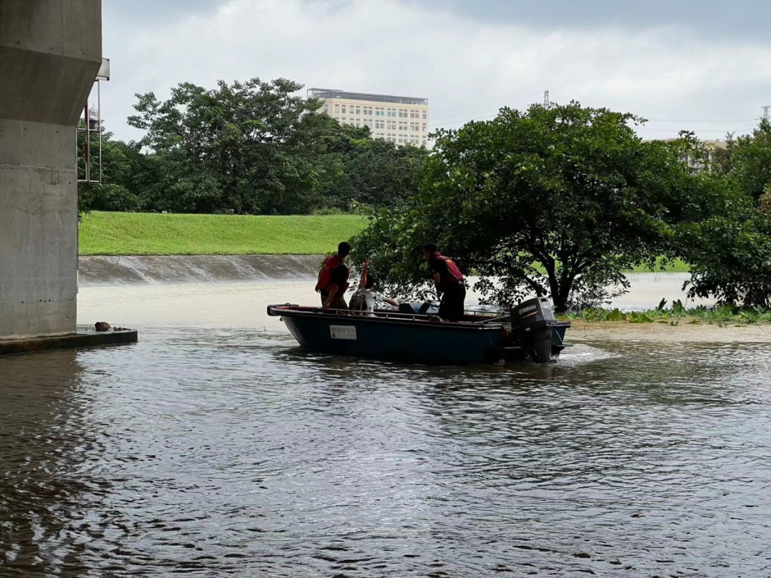 暴雨天到桥底“沉浸式”钓鱼，回头一看瞬间慌了……