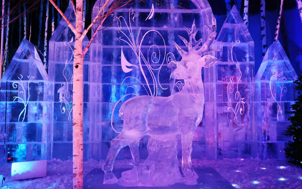 哈尔滨冰雪大世界梦幻冰雪馆抢“鲜”看