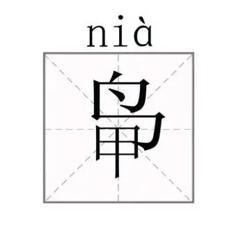 姓“苟”“骂”“操”……不管取啥名都像在骂人！官方回复“能否改姓”