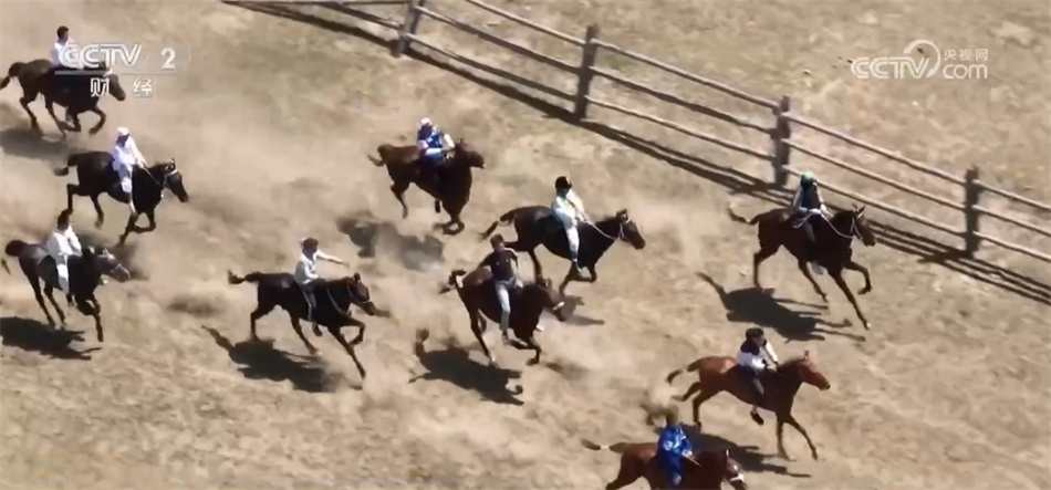 牧业转场带来旅游新体验 新疆阿勒泰独特“风景线”引客来 牧业转场带来旅游新体验 新疆阿勒泰独特“风景线”引客来