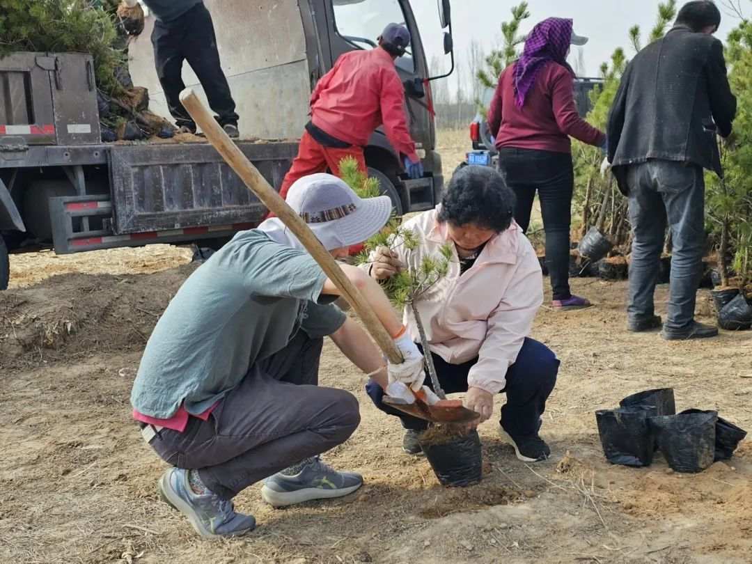 只因多看了她一眼，美国小伙连续10年到内蒙古植树