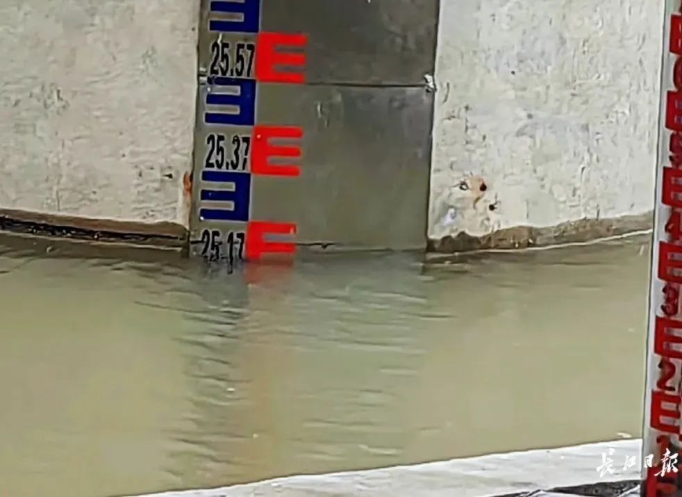 超设防水位！武汉启动防汛应急响应