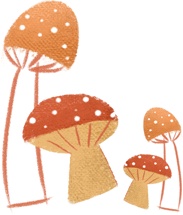 不要采!不要吃! 不要采!不要吃!