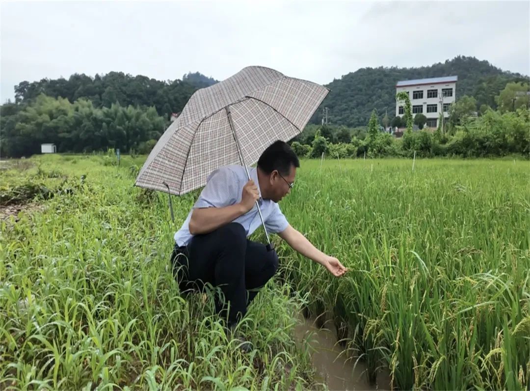 “战长沙”！湖南长沙暴雨，这组照片记录气象人的24小时