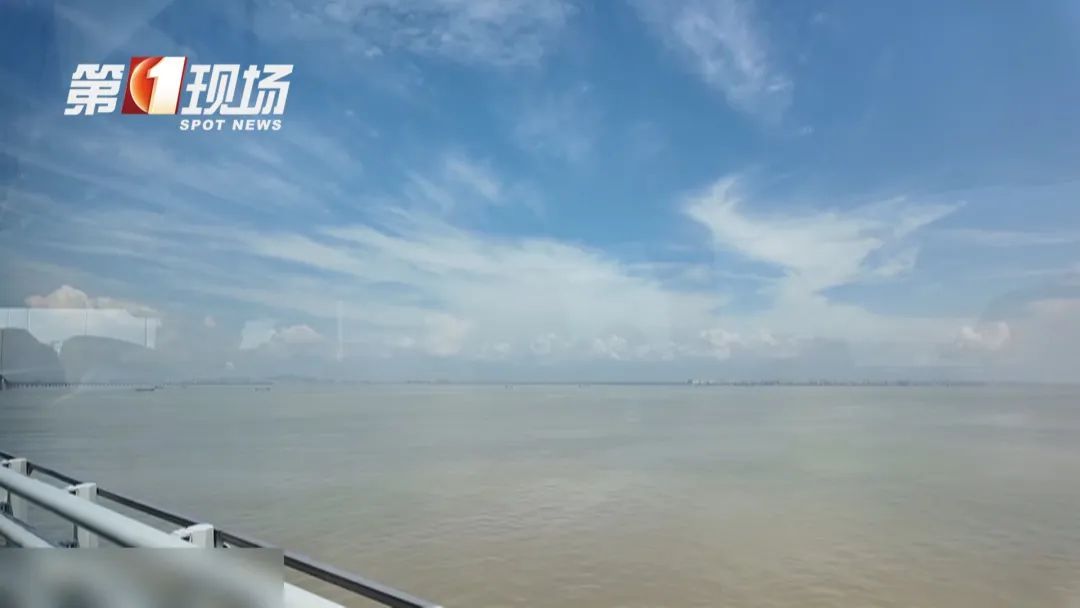 沉浸式赏海景！坐巴士跨越深中通道，是什么体验？