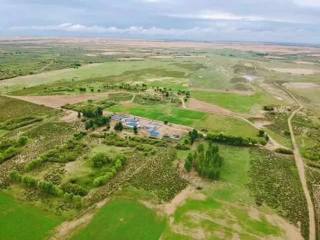 只因多看了她一眼，美国小伙连续10年到内蒙古植树