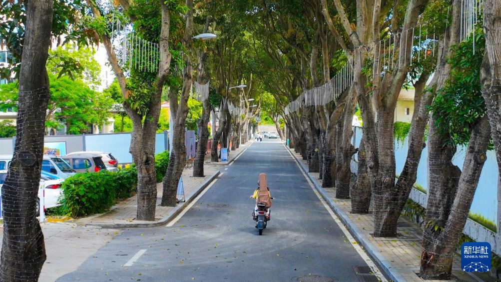 厦门城中村“焕新记”