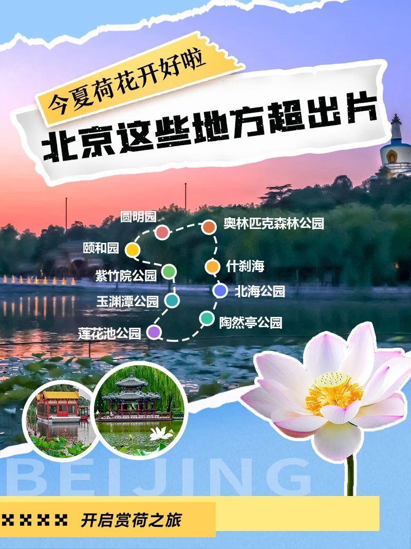 今夏荷花开好了,北京这些地方超出片! 今夏荷花开好了,北京这些地方超出片!