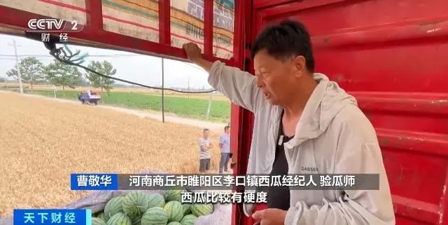 “吃瓜季”来临，验瓜师成抢手资源，日收入可达五六千元