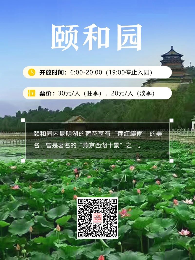 今夏荷花开好了,北京这些地方超出片! 今夏荷花开好了,北京这些地方超出片!