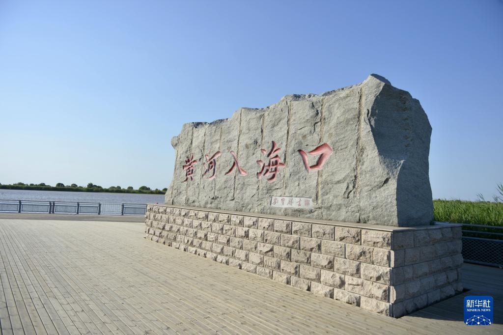 中华环保世纪行2024｜记者手记：大河之洲的生态跃变