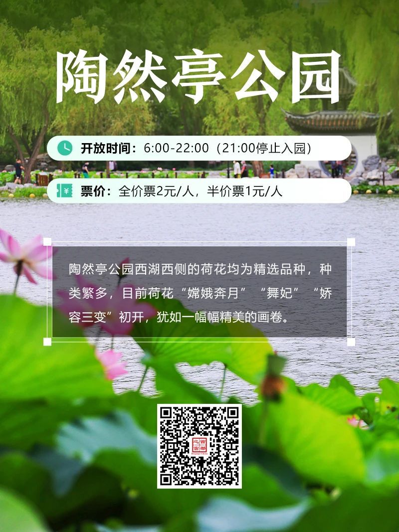 今夏荷花开好了,北京这些地方超出片! 今夏荷花开好了,北京这些地方超出片!