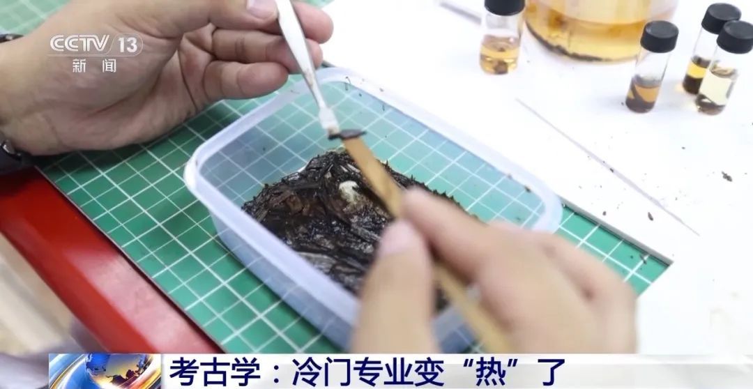 这个专业火了！有地方"入学即就业，还带编制"