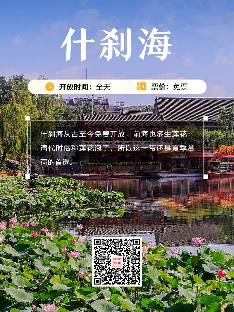 今夏荷花开好了,北京这些地方超出片! 今夏荷花开好了,北京这些地方超出片!