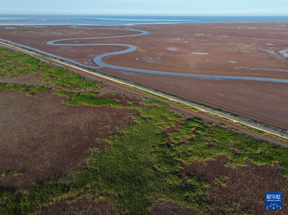 中华环保世纪行2024｜记者手记：大河之洲的生态跃变