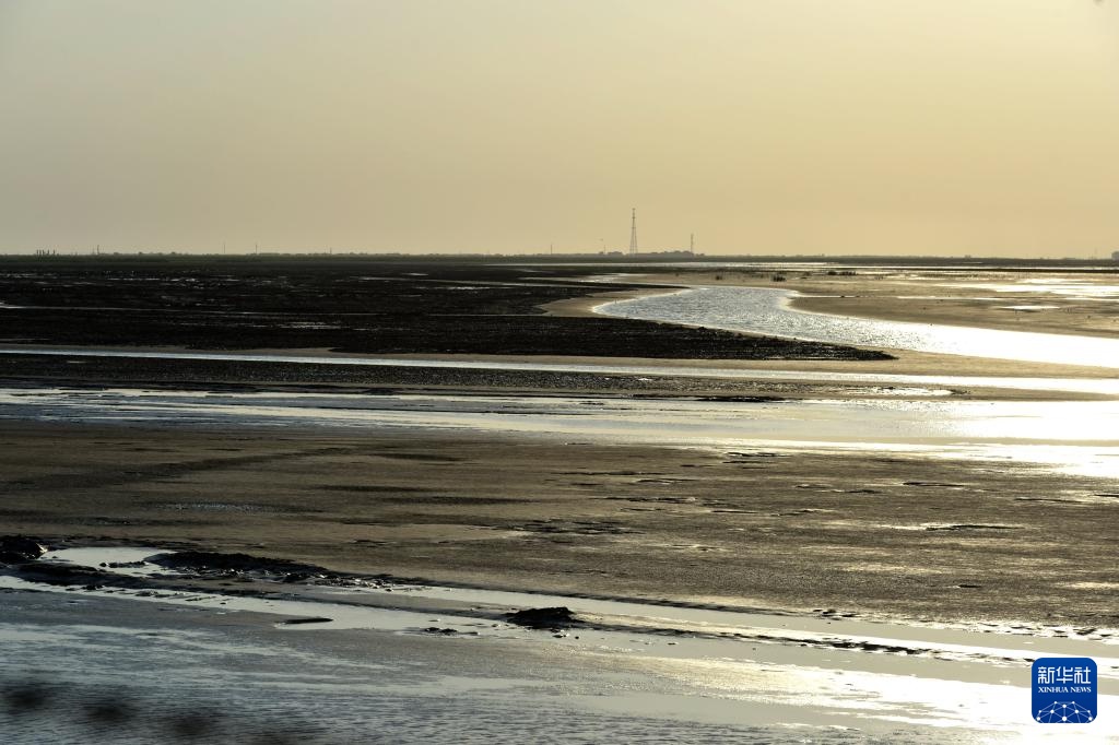 中华环保世纪行2024｜记者手记：大河之洲的生态跃变