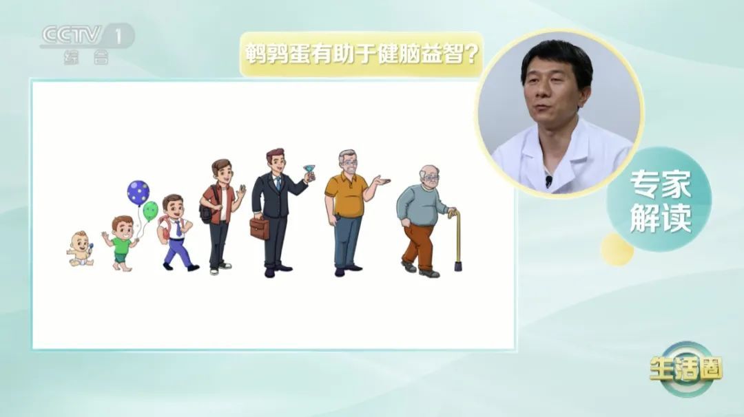 被称为“动物人参”的它,比鸡蛋更营养吗?一口一个,让你体质更强、记性更好~ 被称为“动物人参”的它,比鸡蛋更营养吗?一口一个,让你体质更强、记性更好~