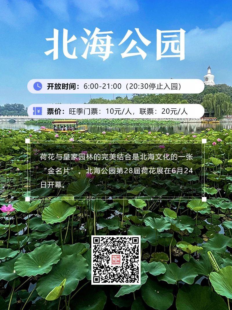 今夏荷花开好了,北京这些地方超出片! 今夏荷花开好了,北京这些地方超出片!