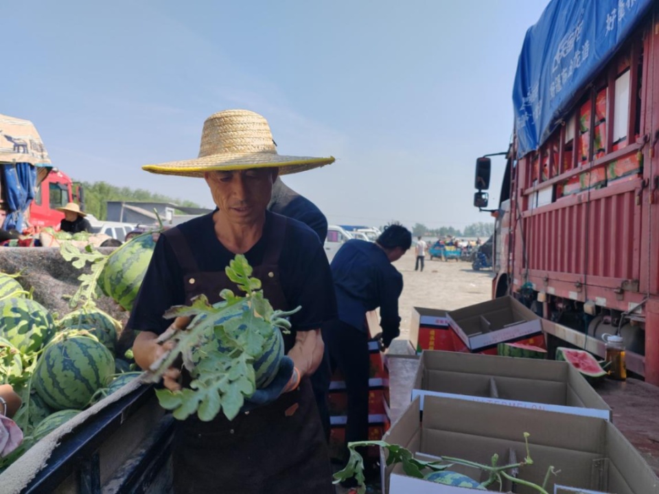 “吃瓜季”来临，验瓜师成抢手资源，日收入可达五六千元