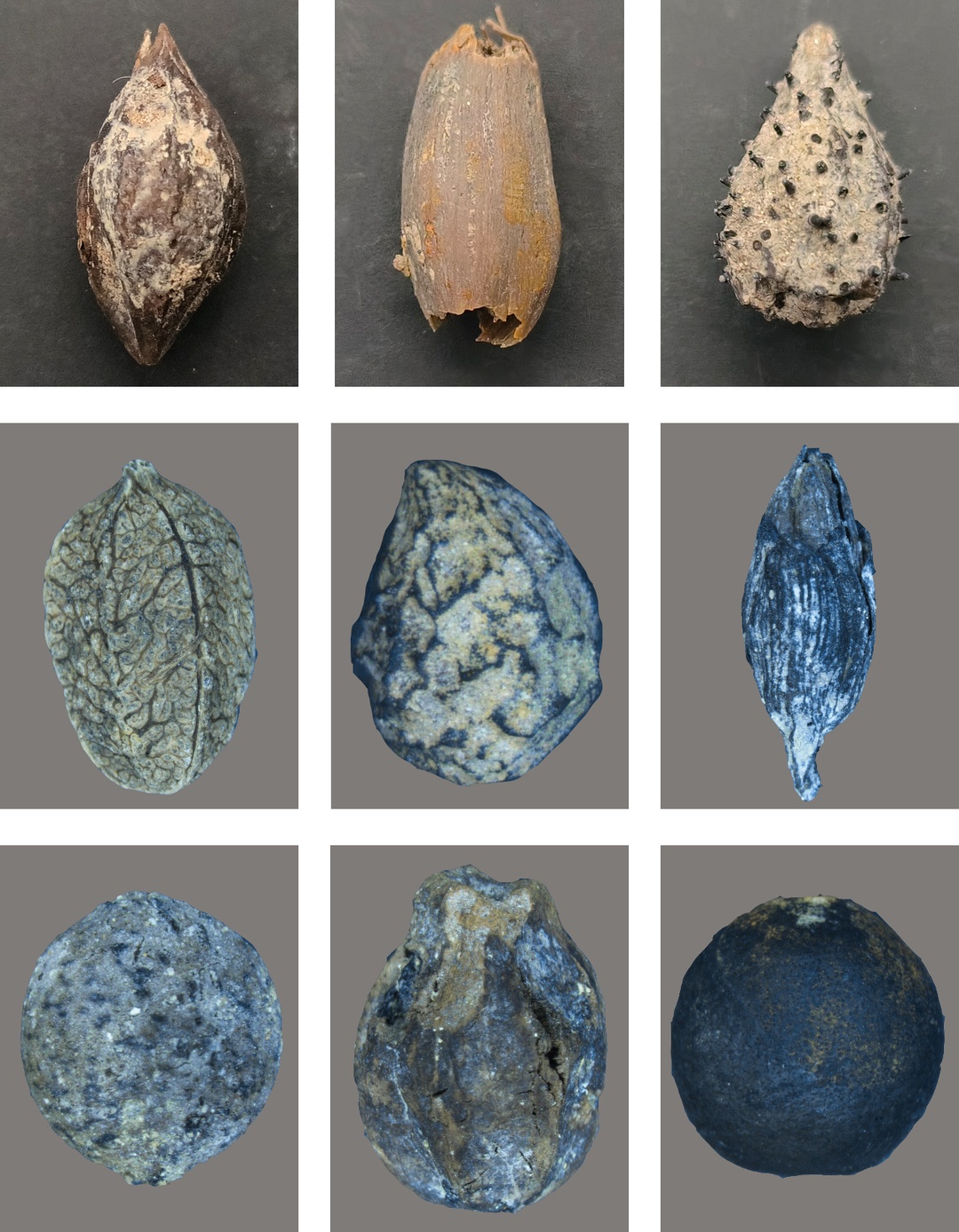 西樵山有新发现！发现距今40000年以上的......