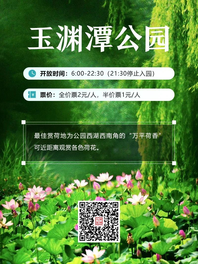 今夏荷花开好了,北京这些地方超出片! 今夏荷花开好了,北京这些地方超出片!