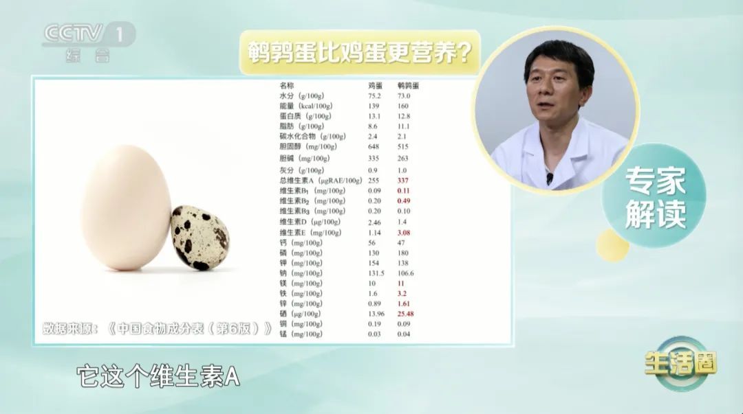 被称为“动物人参”的它,比鸡蛋更营养吗?一口一个,让你体质更强、记性更好~ 被称为“动物人参”的它,比鸡蛋更营养吗?一口一个,让你体质更强、记性更好~