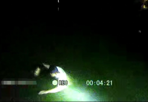 跳河救人后，他对妻子撒了个谎……