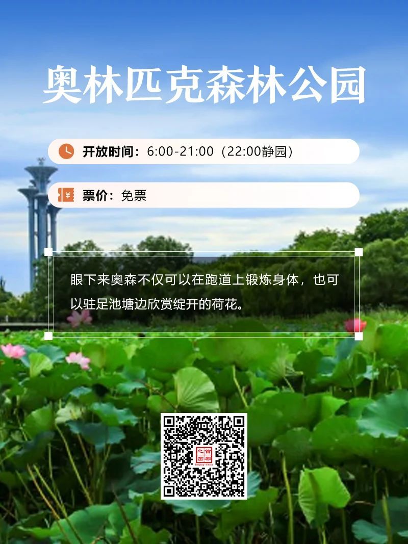 今夏荷花开好了,北京这些地方超出片! 今夏荷花开好了,北京这些地方超出片!