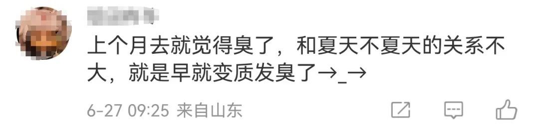 “滂臭”！上海迪士尼这地方臭味“沾上根本洗不掉！回想起来还想吐”