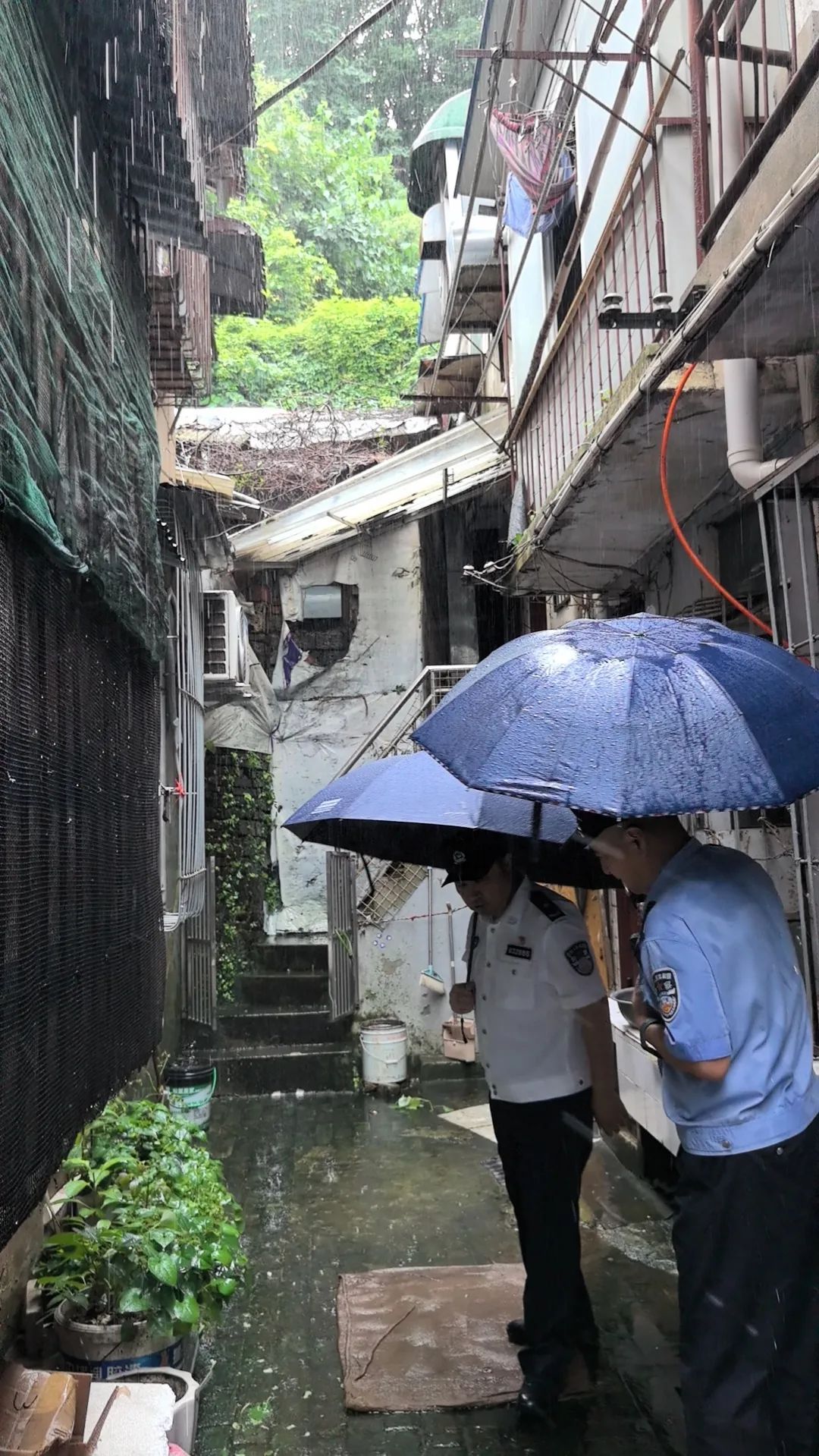 武汉警方迅速应对今晨暴雨  确保路畅人安 武汉警方迅速应对今晨暴雨  确保路畅人安