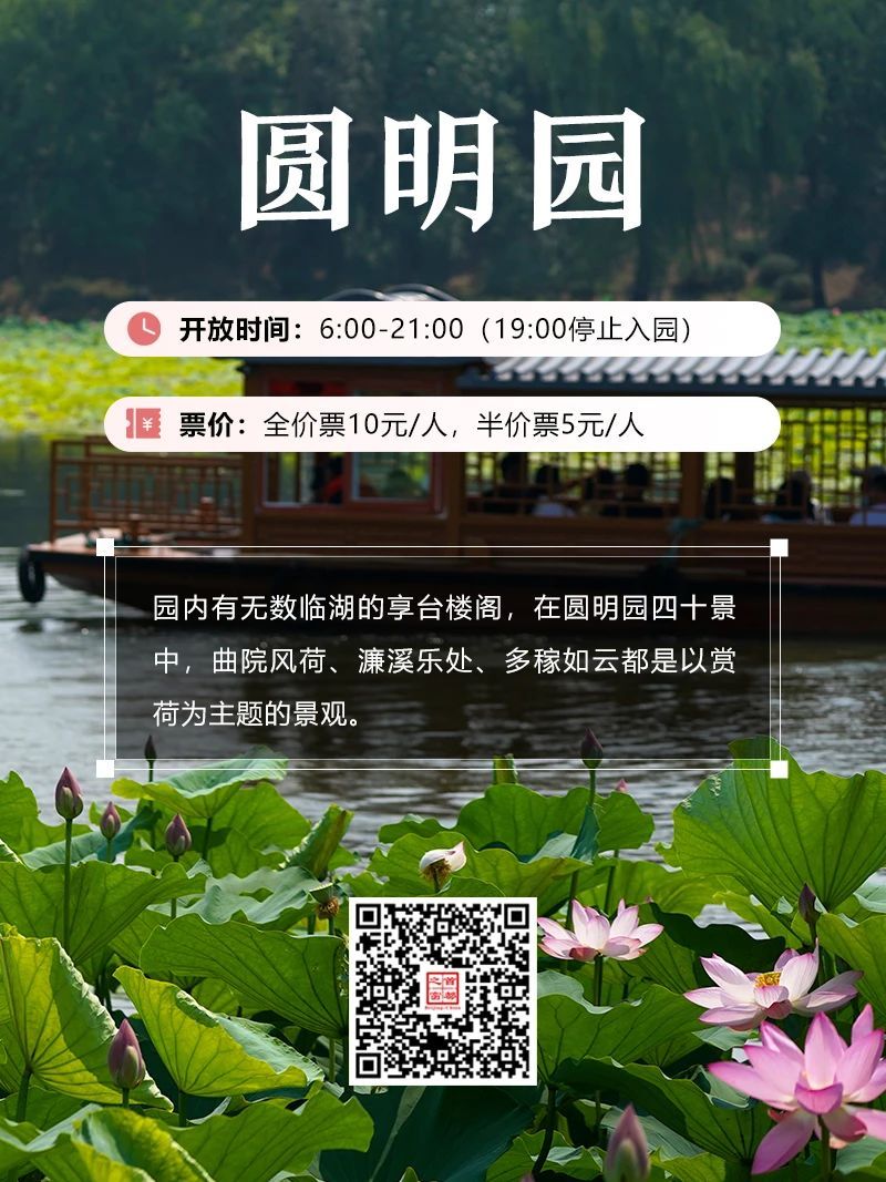 今夏荷花开好了,北京这些地方超出片! 今夏荷花开好了,北京这些地方超出片!