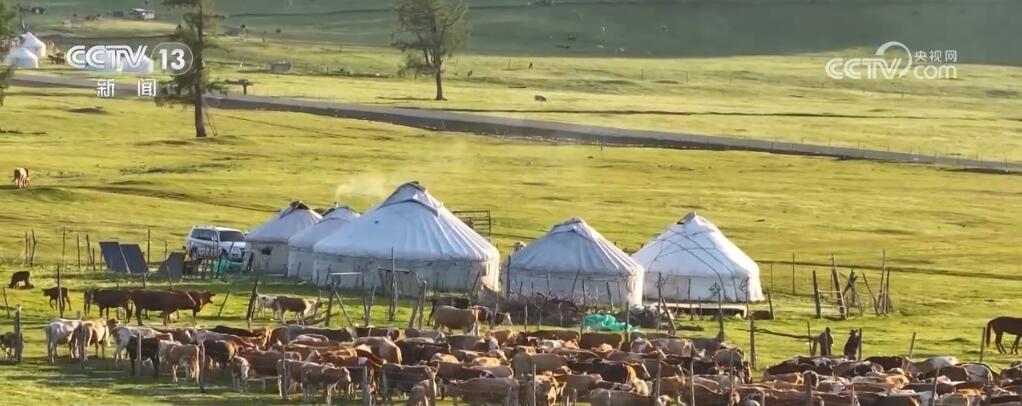 新疆阿勒泰奏响“夏日牧歌” 独特牧业民俗文化吸引八方来客 新疆阿勒泰奏响“夏日牧歌” 独特牧业民俗文化吸引八方来客